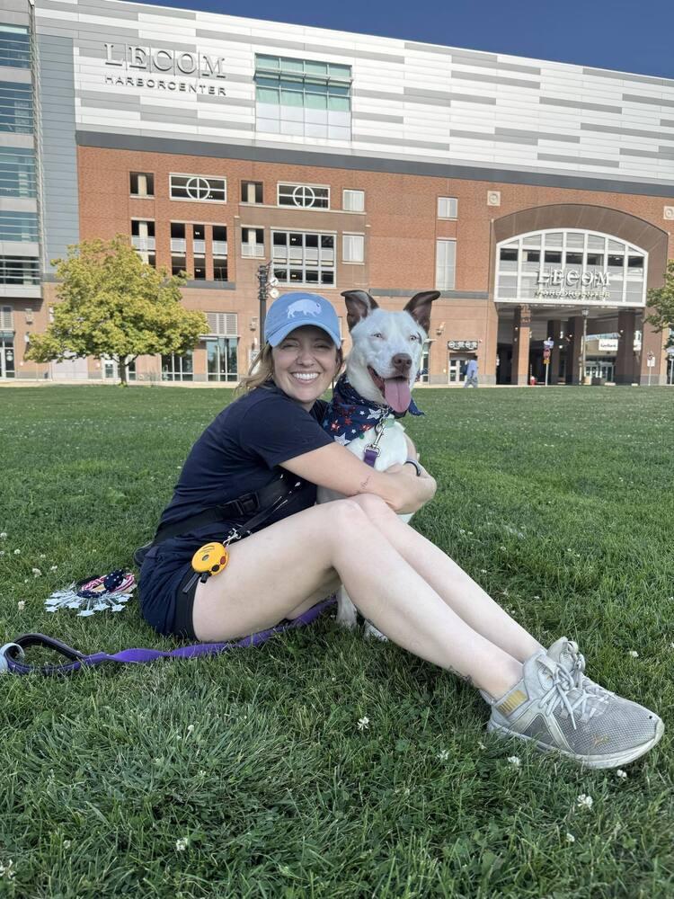 Enlarge Jasper, a Adoptable mixed breed in Amherst, NY image 1/6