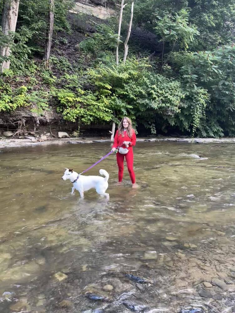 Enlarge Jasper, a Adoptable mixed breed in Amherst, NY image 6/6