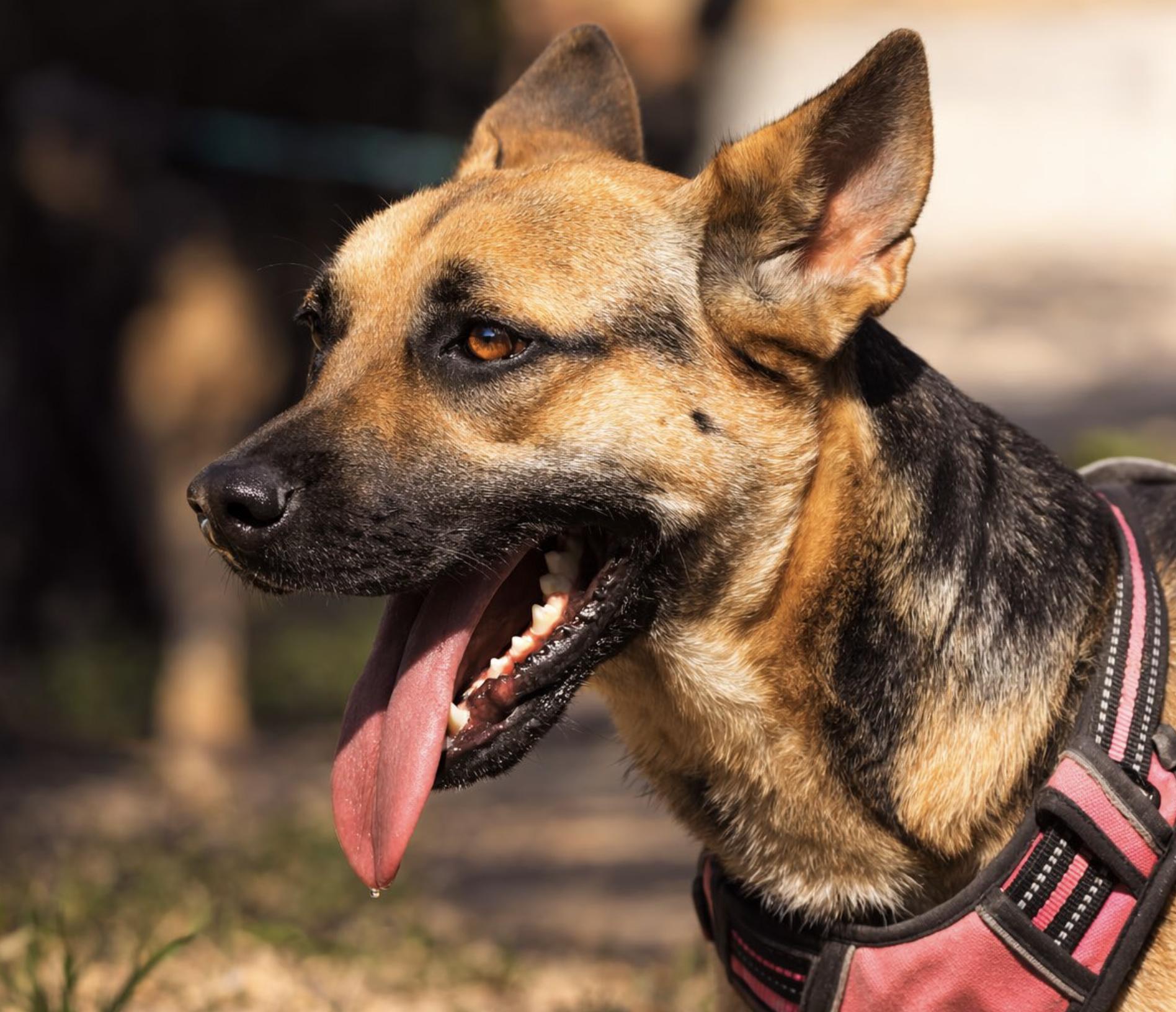 Samantha — thumbnail 3