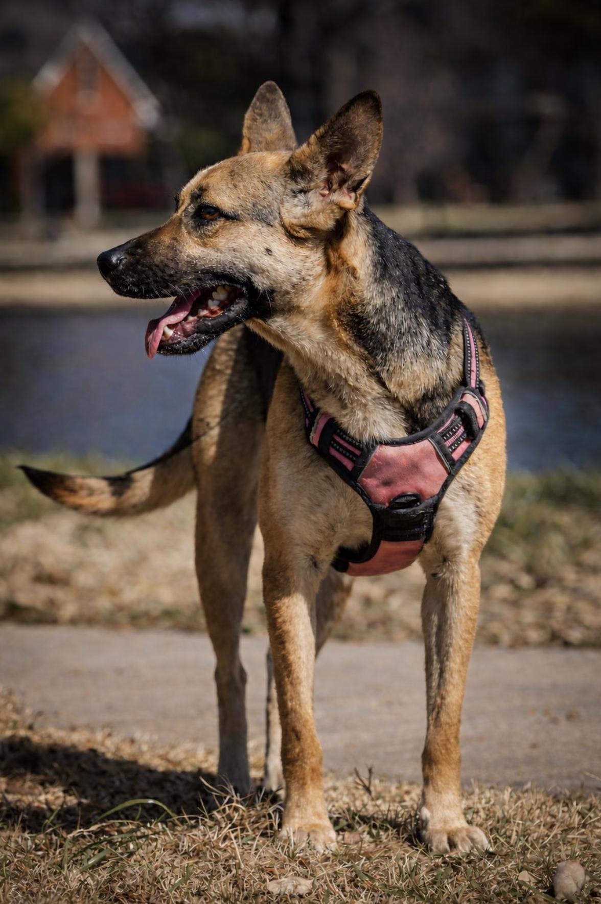 Samantha — thumbnail 4