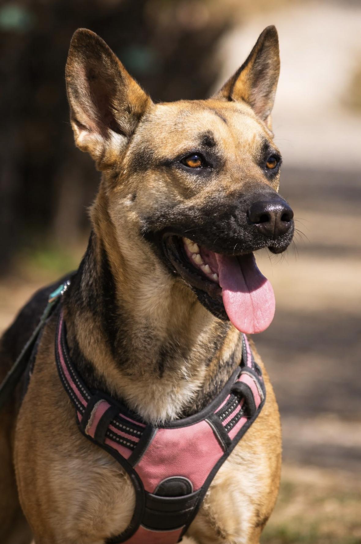 Samantha — thumbnail 6