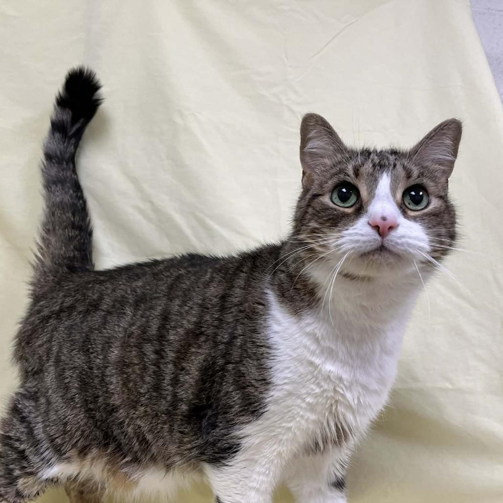 Izuku — thumbnail 2