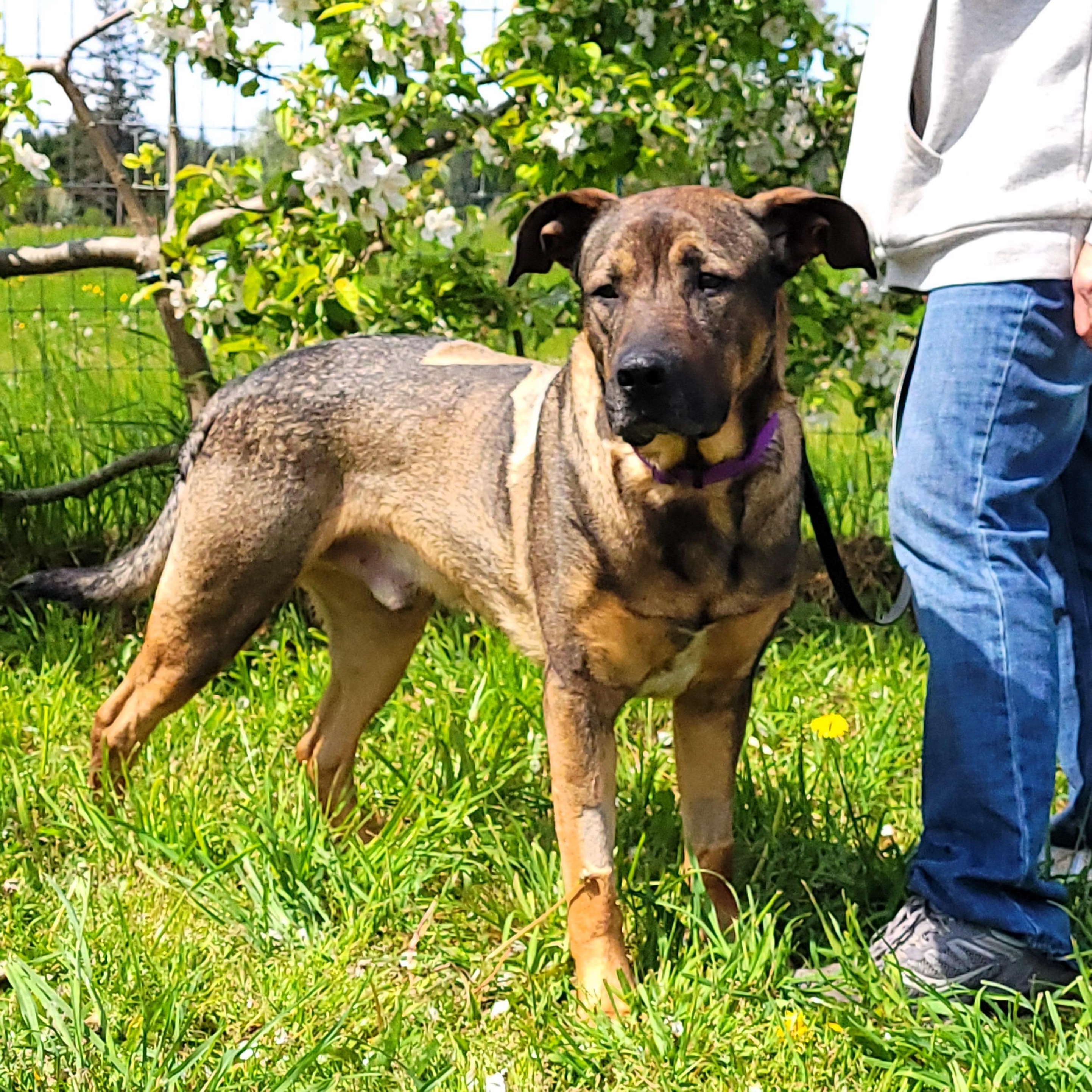 Max photo 2