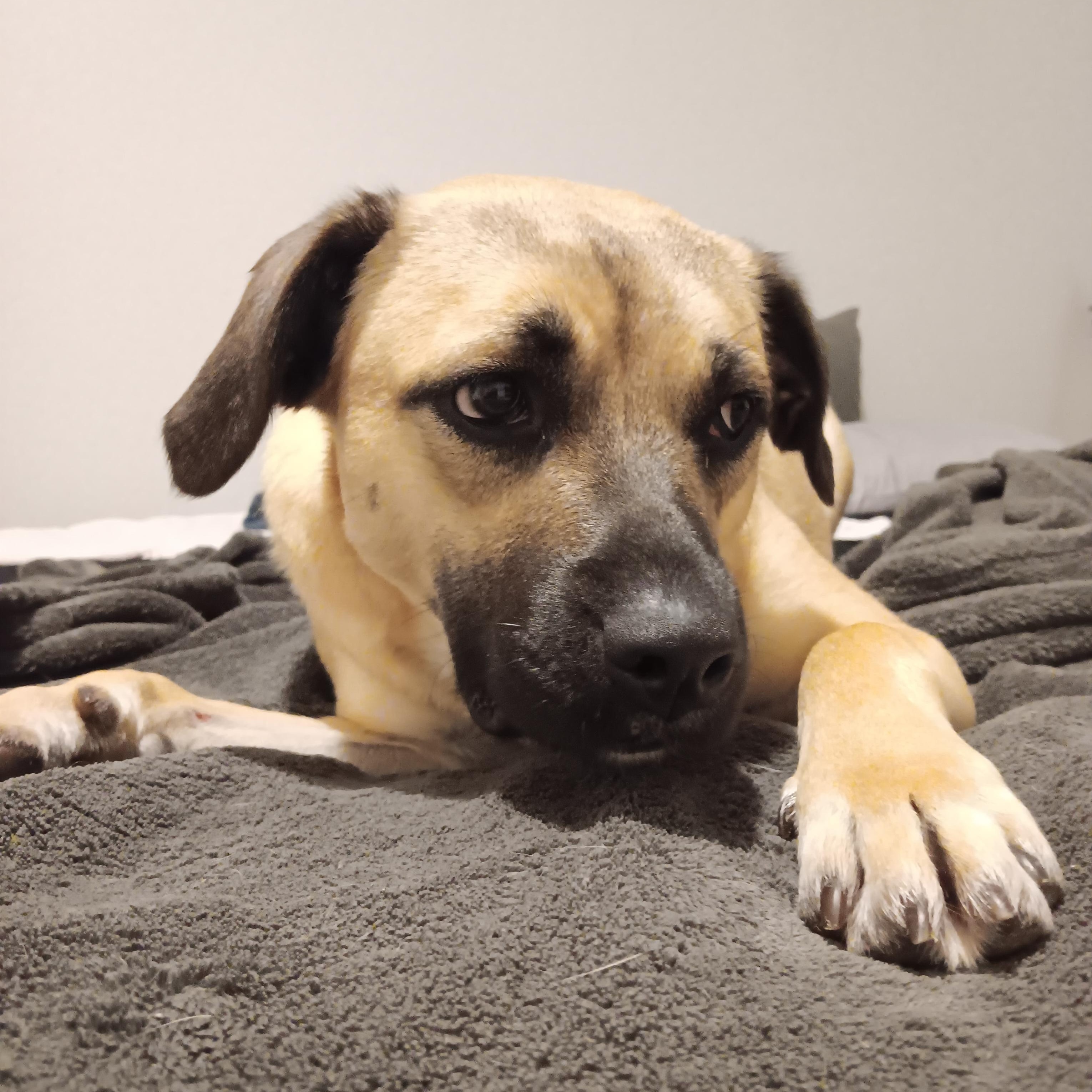 LILY photo 2