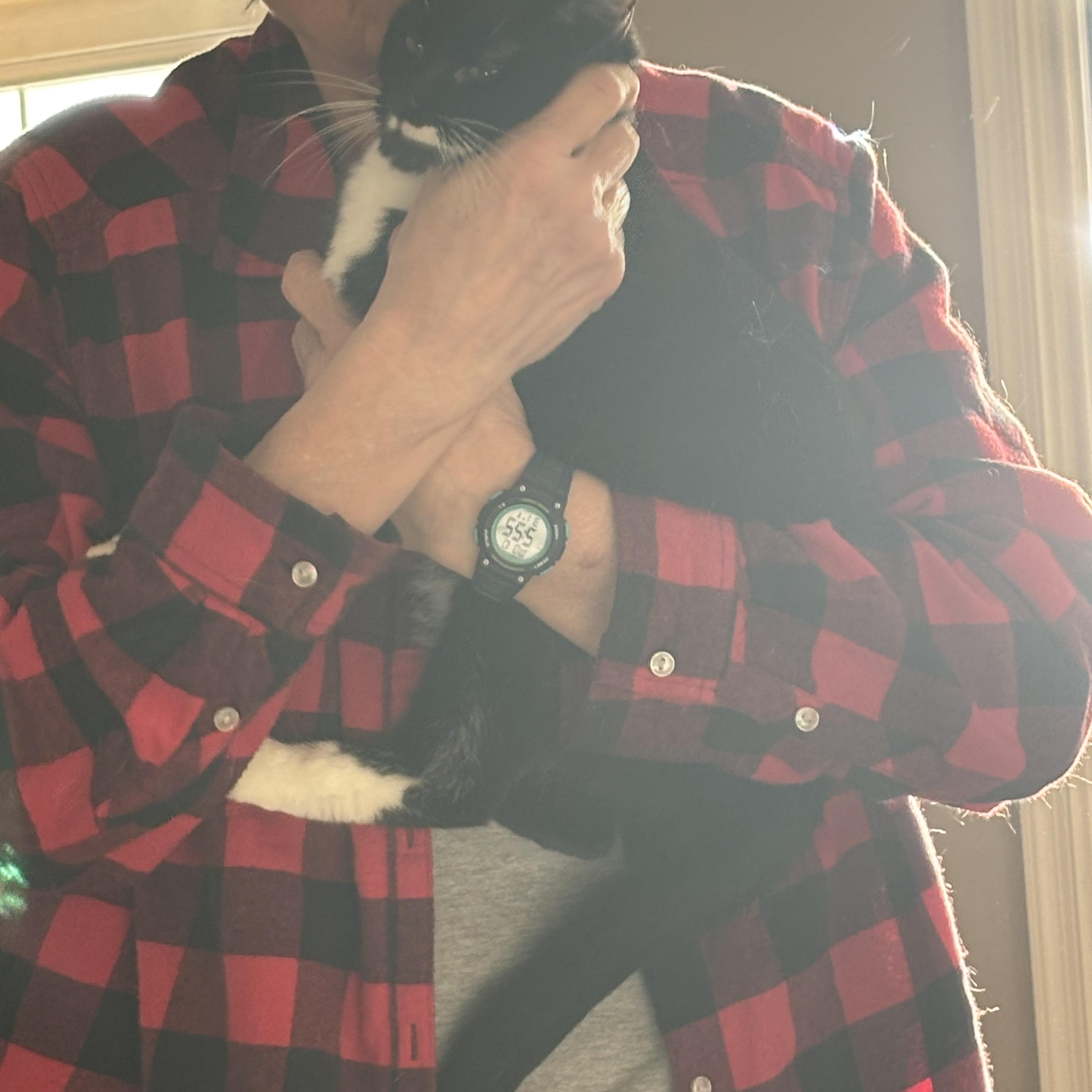 Domino photo 6