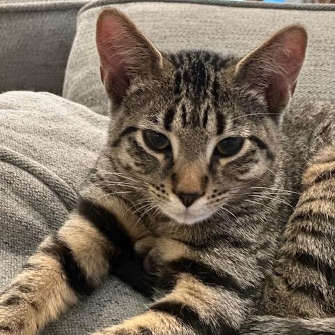 Ernie