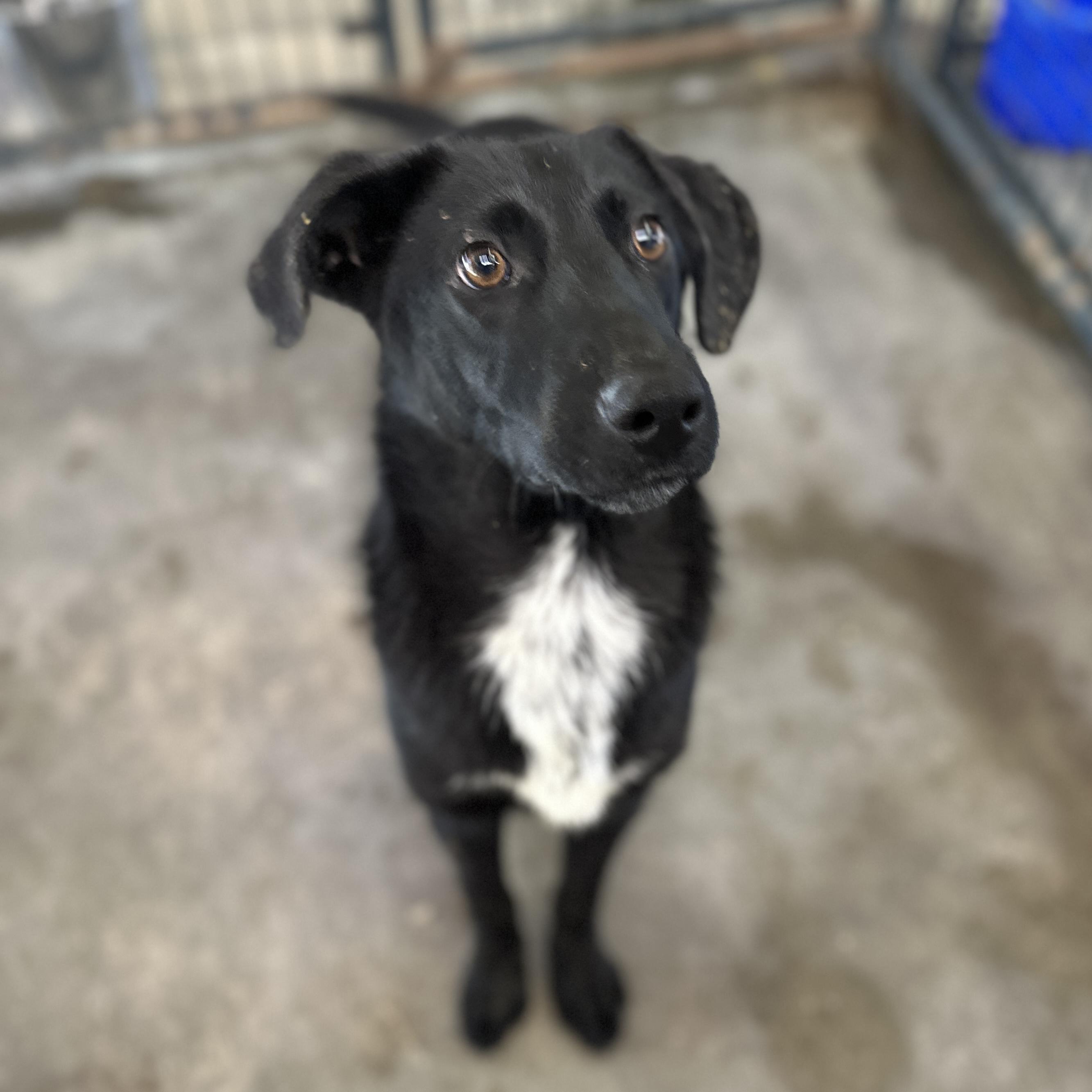 Cole — thumbnail 5