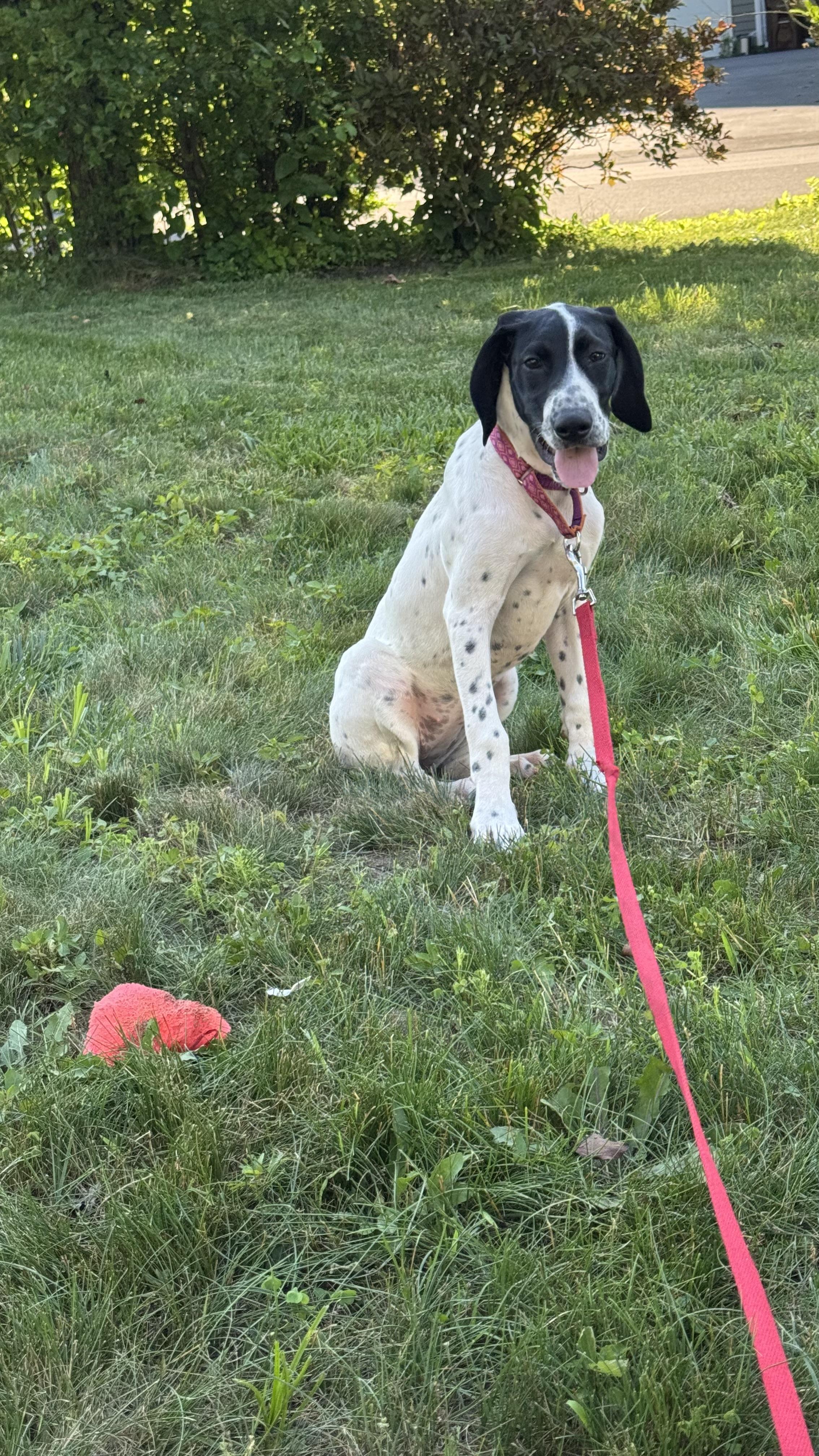 Penny photo 2
