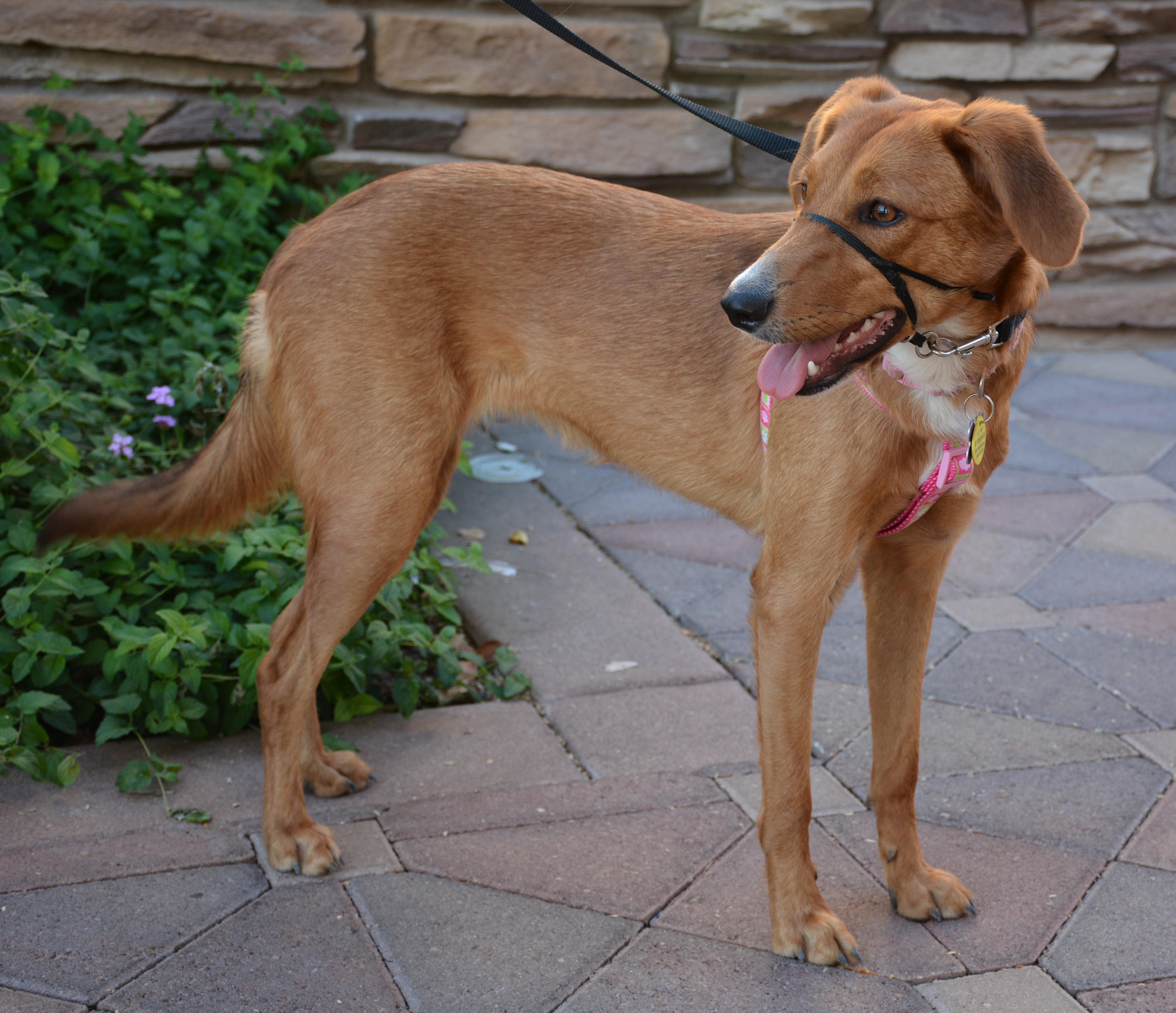 Clementine photo 2