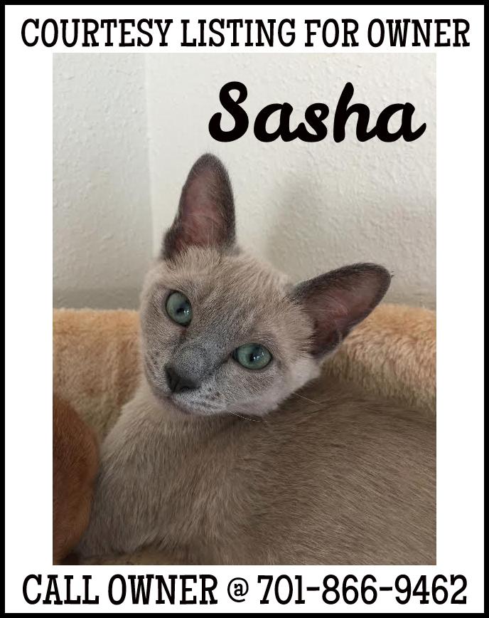 Sasha - COURTESY LISTING FOR OWNER