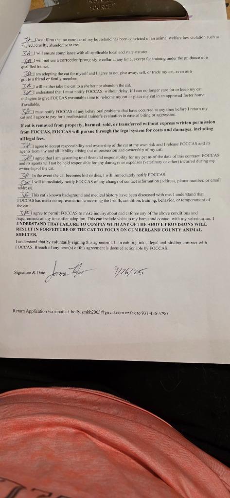 Enlarge Cosmo, a Adopted mixed breed in Crossville, TN image 1/3