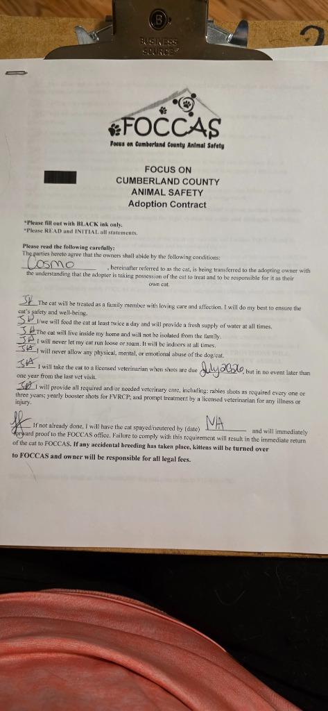 Enlarge Cosmo, a Adopted mixed breed in Crossville, TN image 3/3