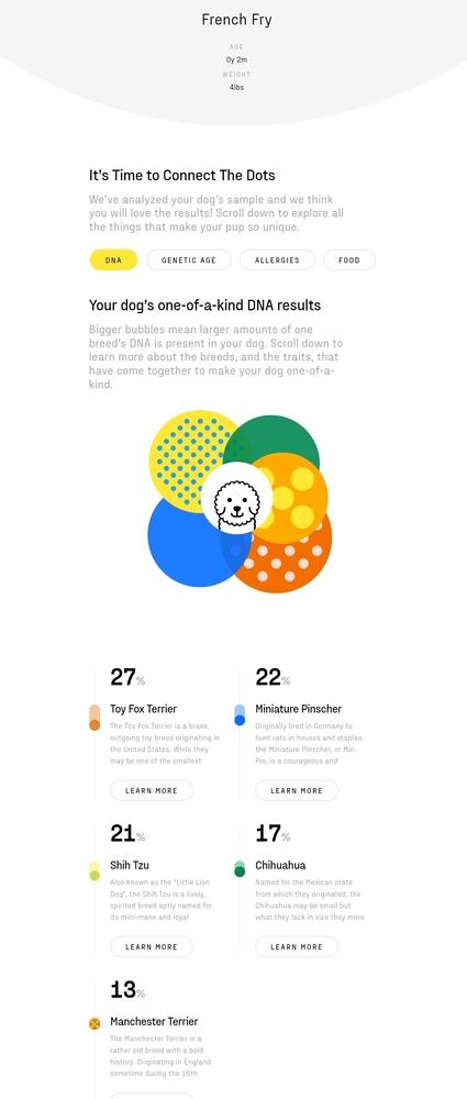 Enlarge Finnegan, a Adoptable mixed breed in Waterloo, IN image 6/6