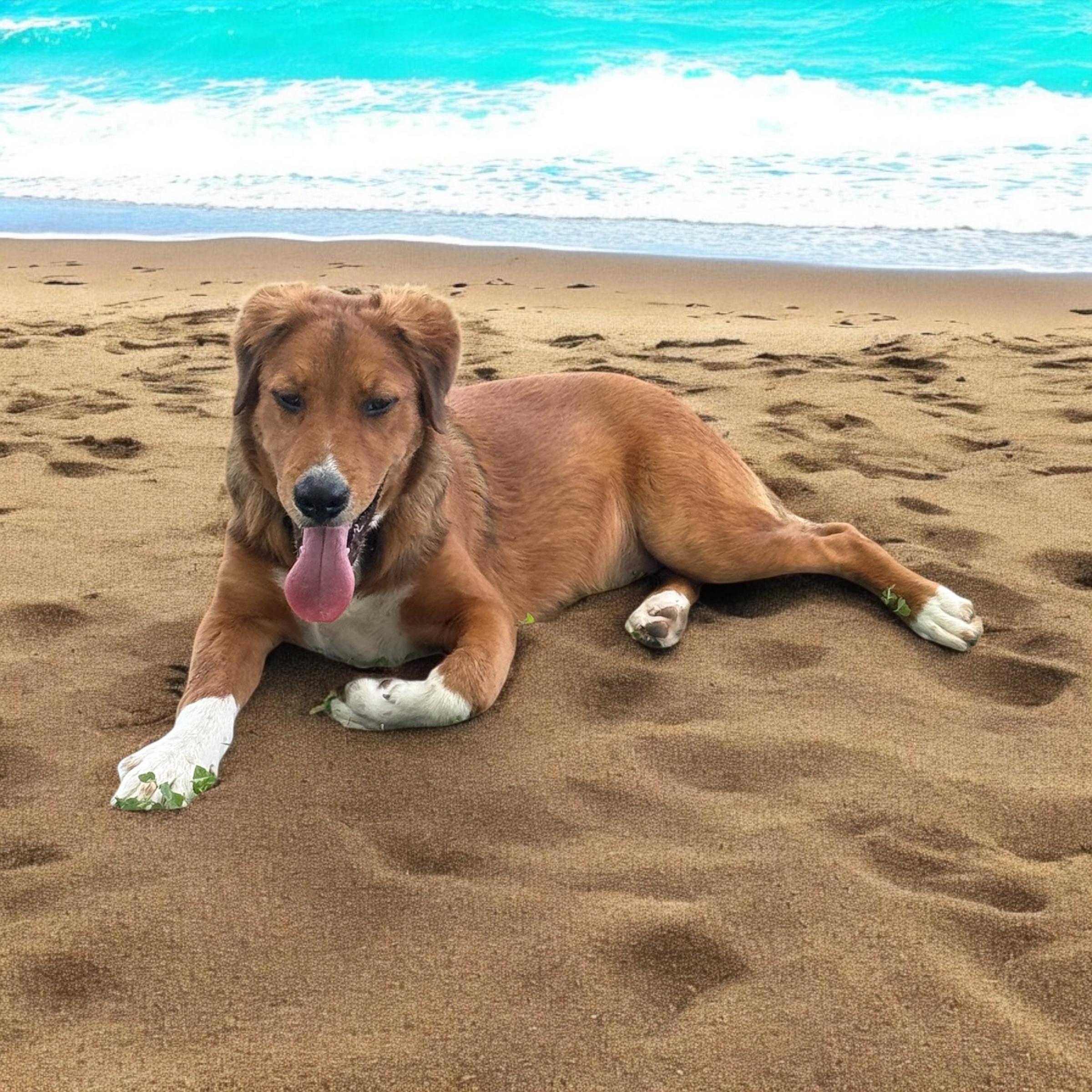 Beau photo 2