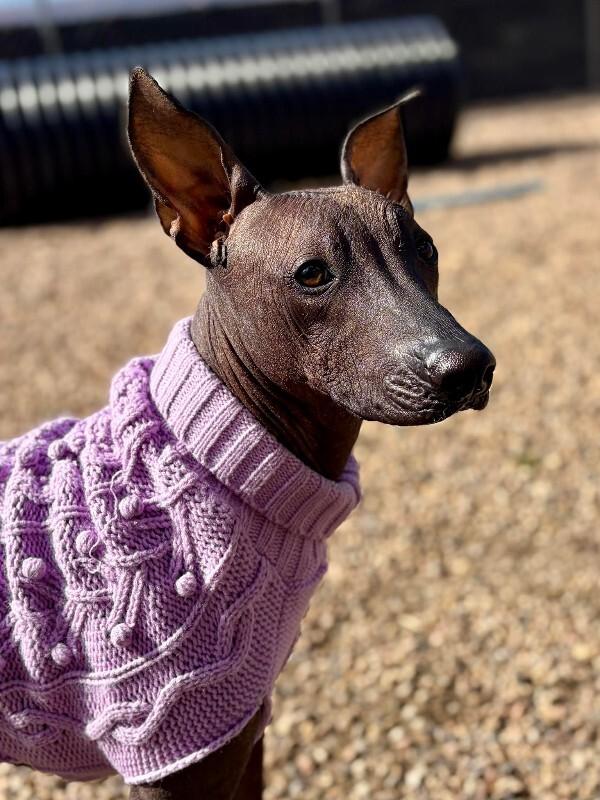 Danita — thumbnail 3