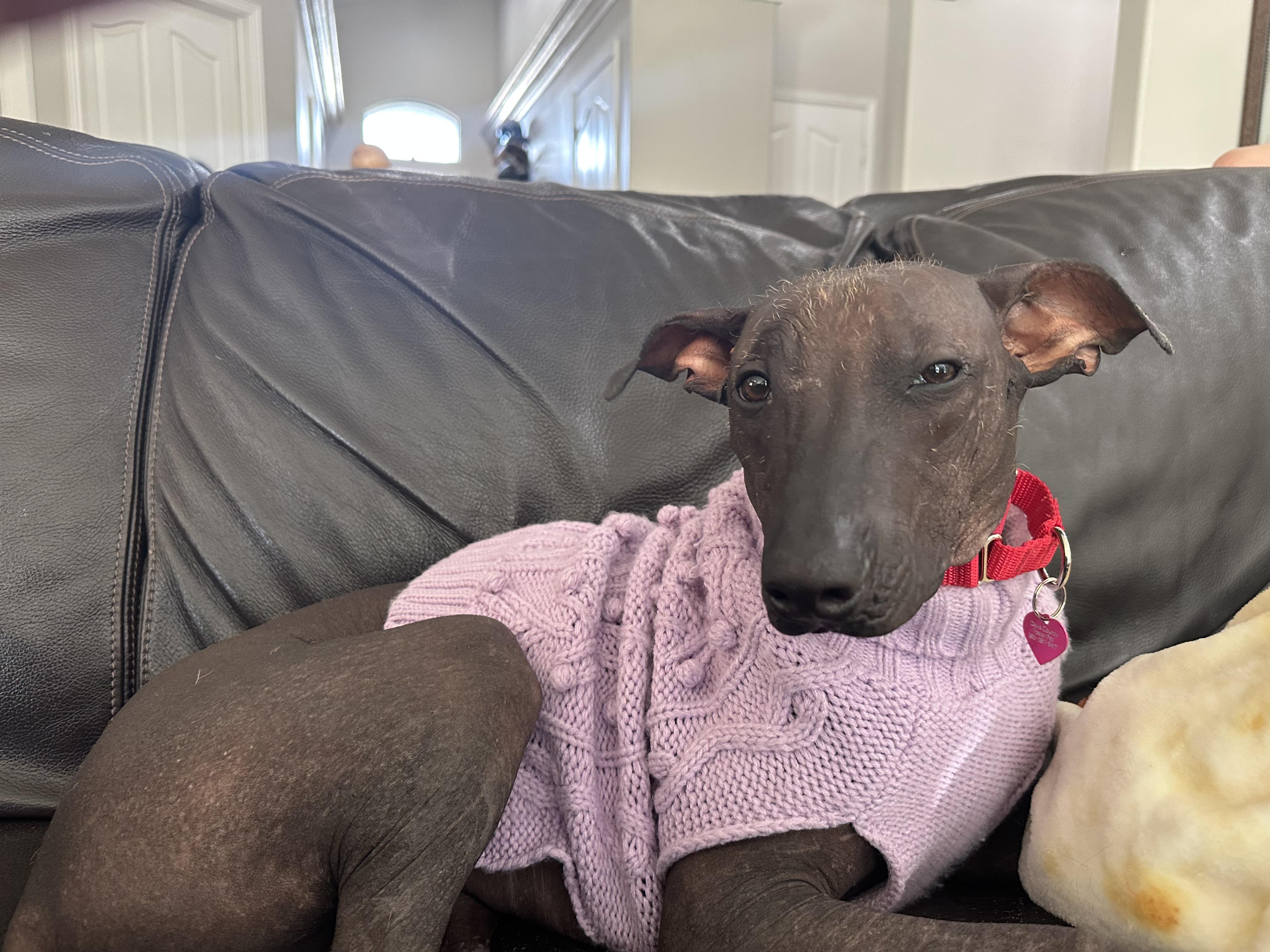 Danita — thumbnail 6