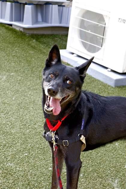 Norwood — thumbnail 2