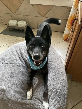 Norwood — thumbnail 3