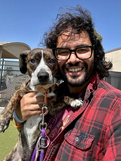 Taco TJ, Adoptable, Young Male Mixed Breed & Mixed Breed.