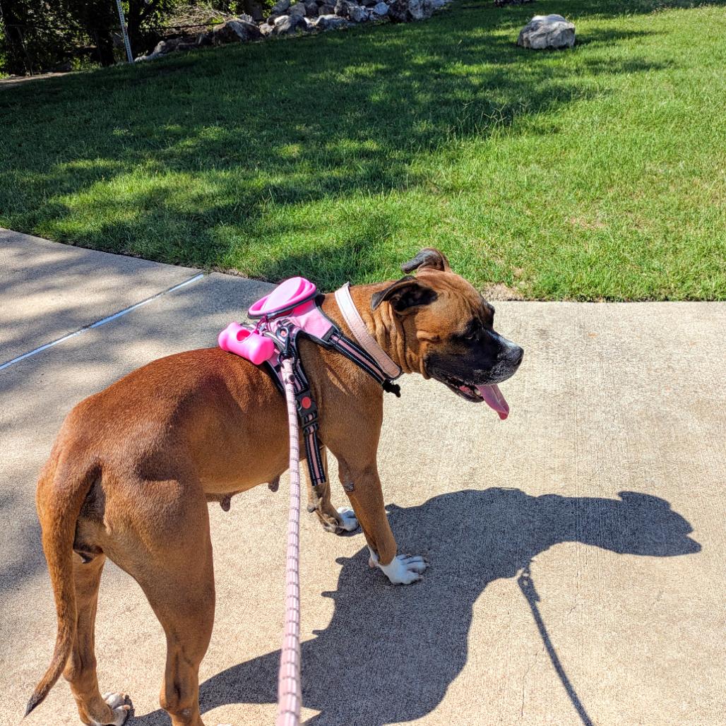 Shelby Grace (New Digs) — thumbnail 2