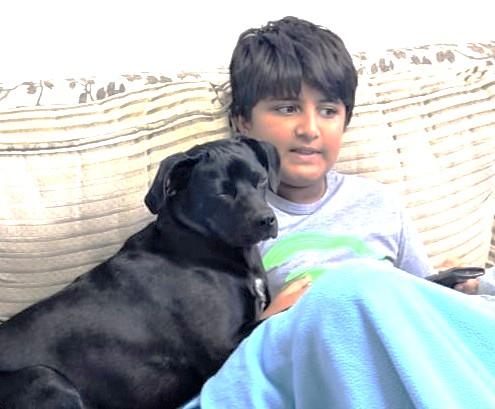 Enlarge Ash - 30 lbs, a Adoptable mixed breed in Mississauga, ON image 5/6