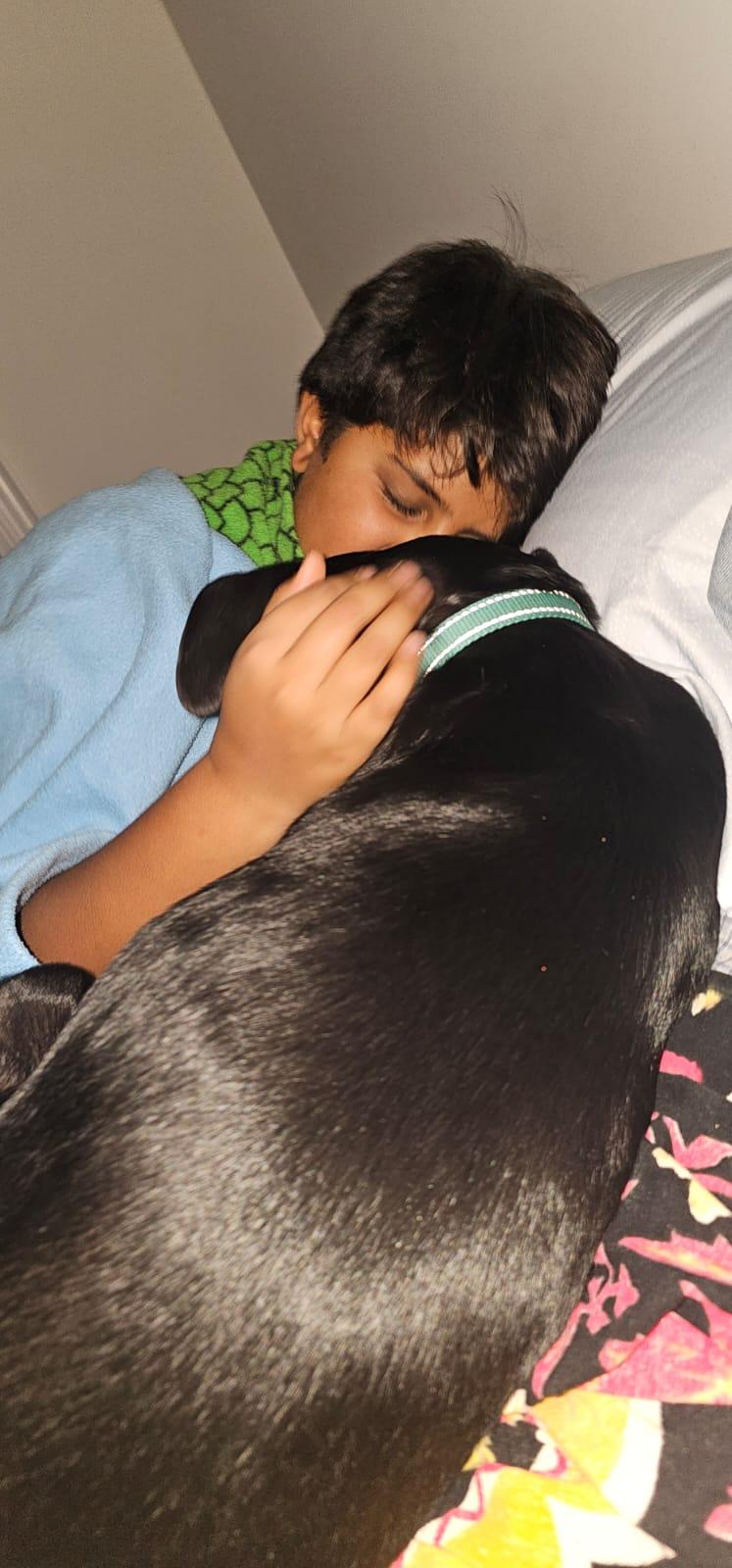 Enlarge Ash - 30 lbs, a Adoptable mixed breed in Mississauga, ON image 6/6