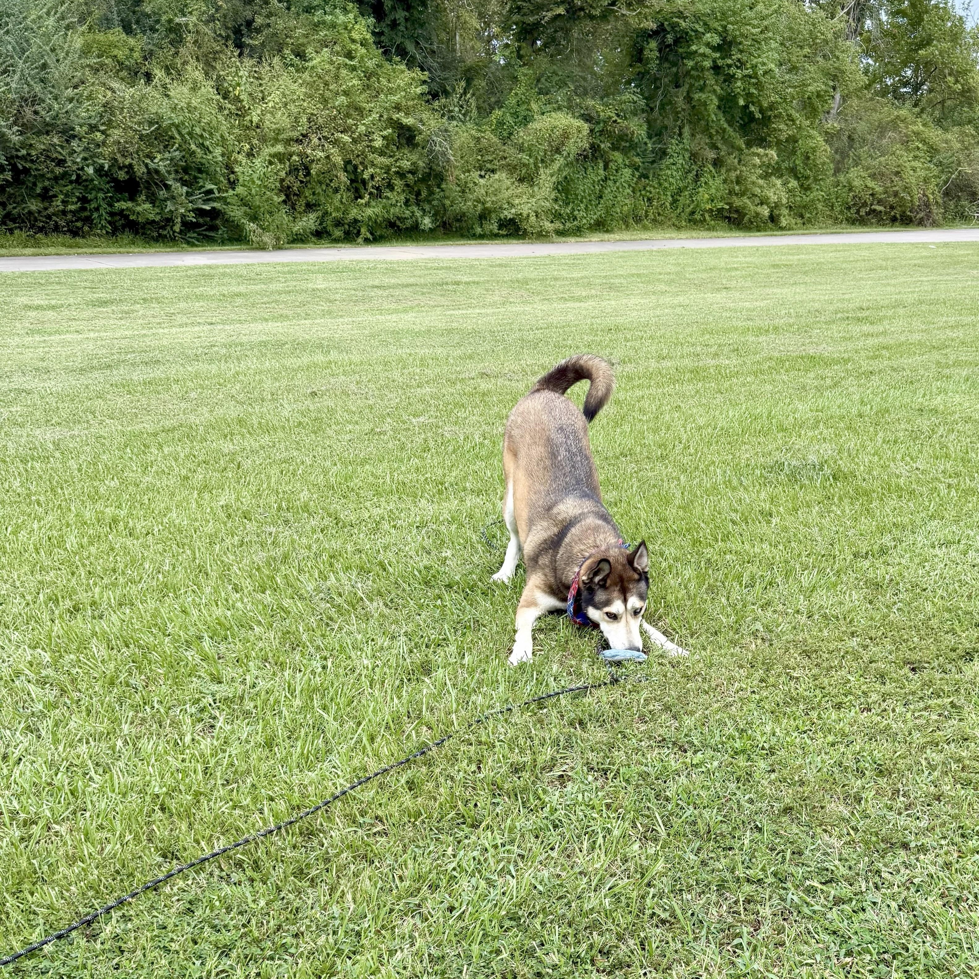 Ken Kix's — thumbnail 5