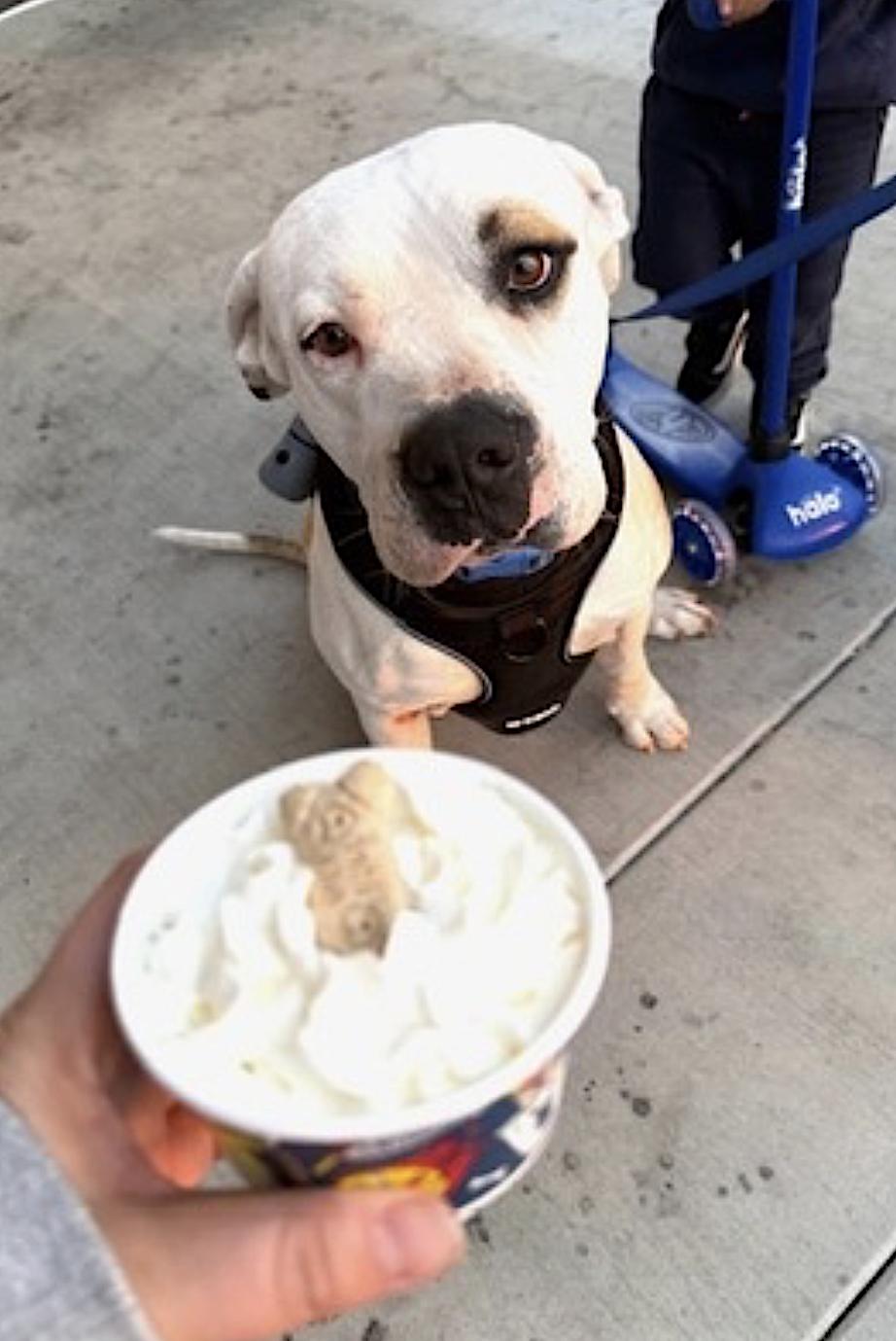 Theodore — thumbnail 4