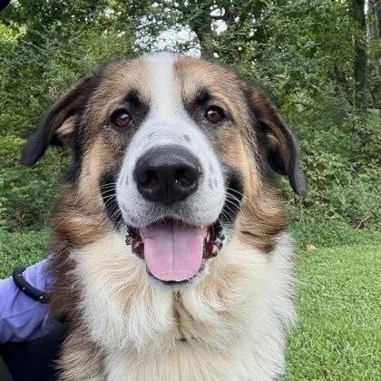 Mister Lio (20251106-05) — thumbnail 6