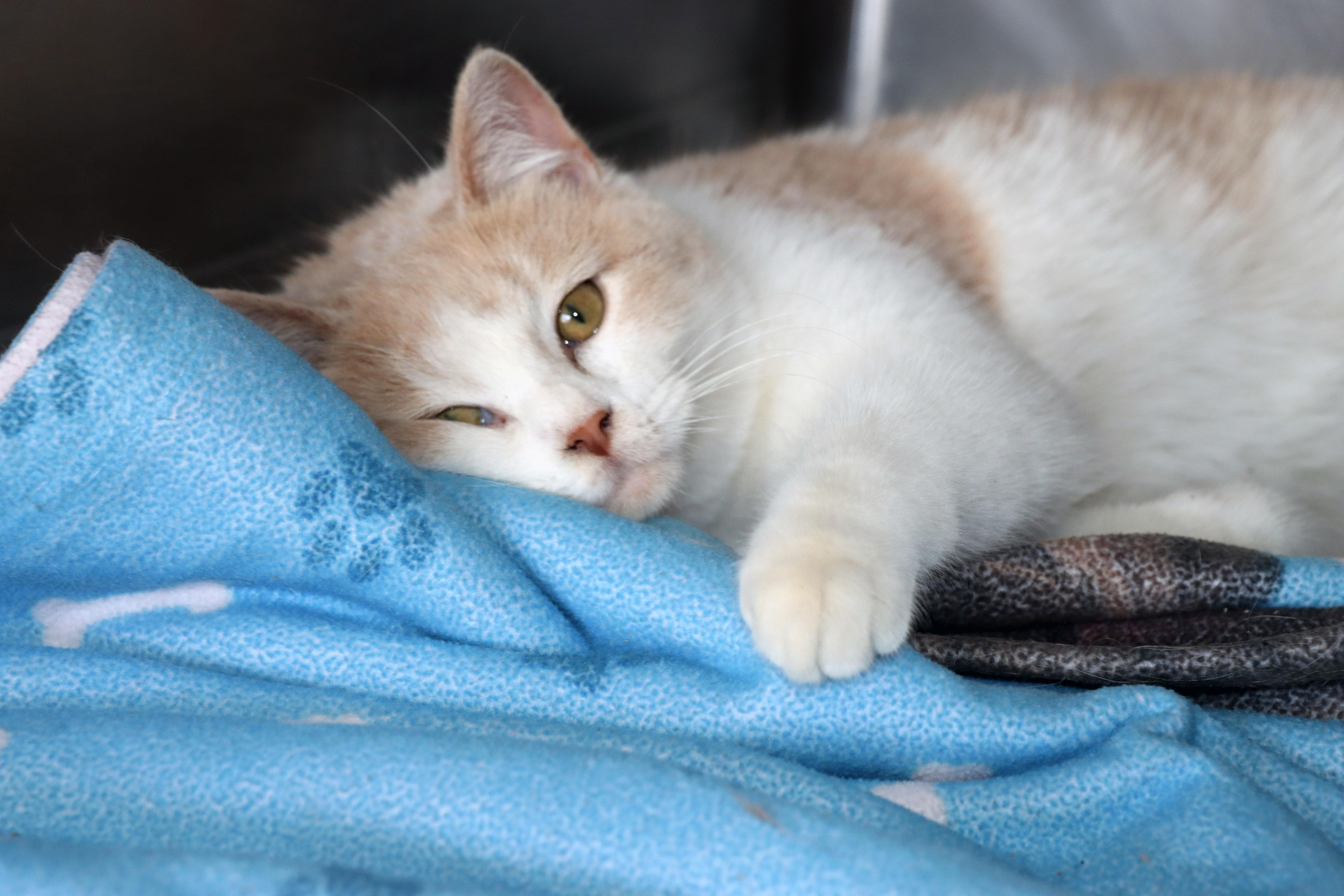 Holiday (and Vacay) — thumbnail 2