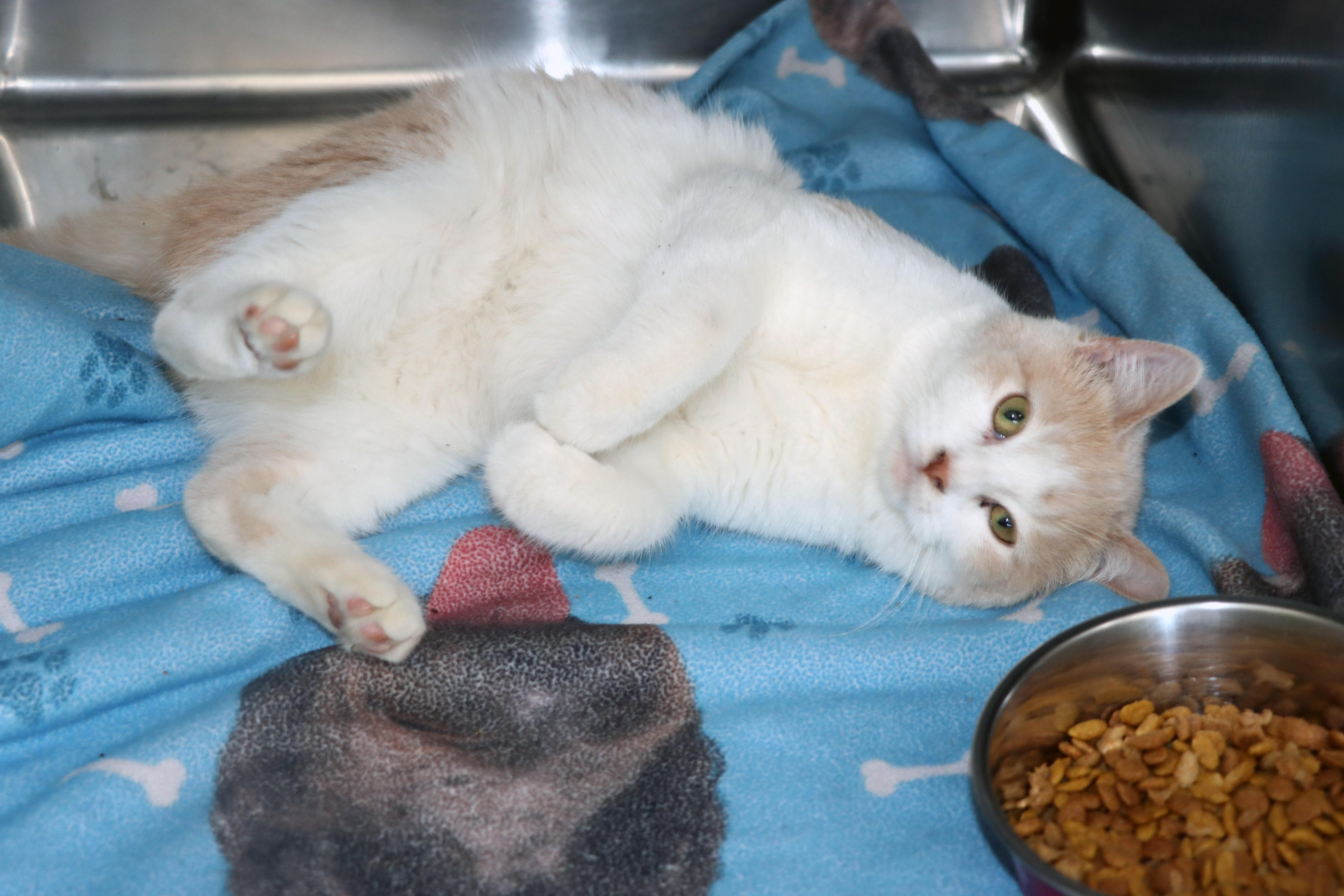 Holiday (and Vacay) — thumbnail 3