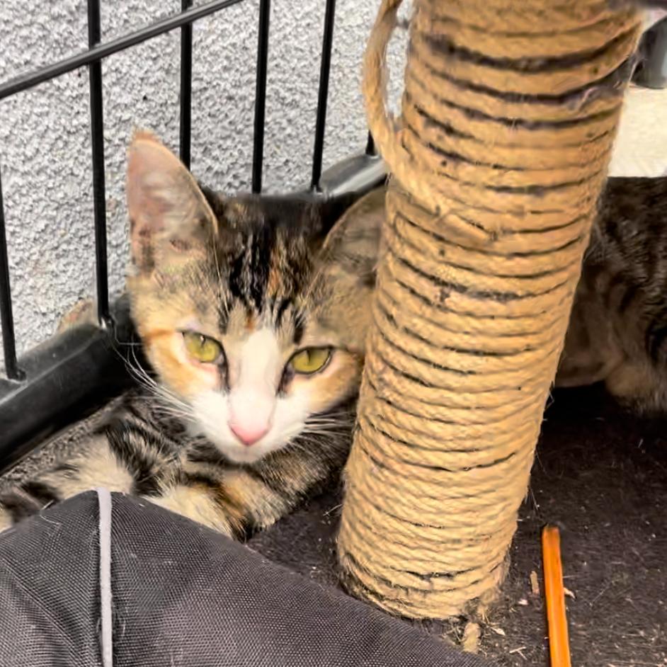 Mary Kate — thumbnail 3