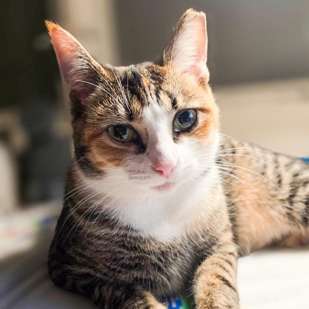 Mary Kate — thumbnail 6