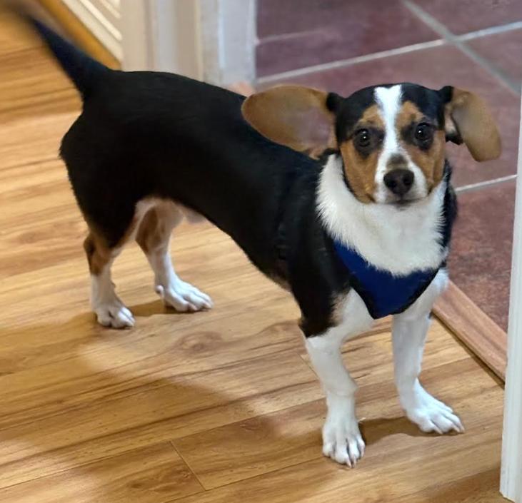 Brody In Tx thumbnail 2