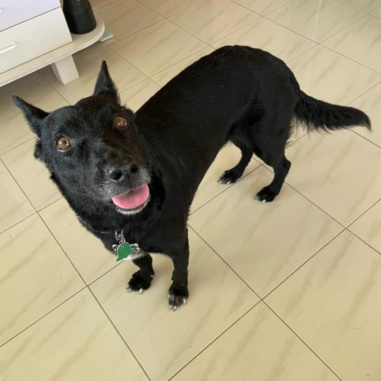 Wepa "excited For You!" thumbnail 2