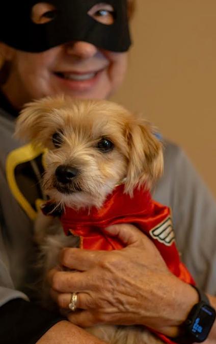 Enlarge Sweetpea, a Adopted mixed breed in Zebulon, GA image 2/3