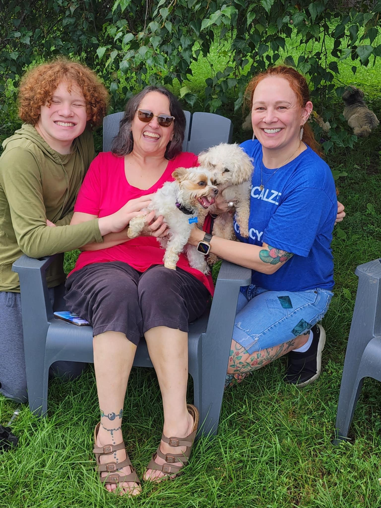 Enlarge Charlie, a Adopted Miniature Poodle in Newton, IA image 1/4