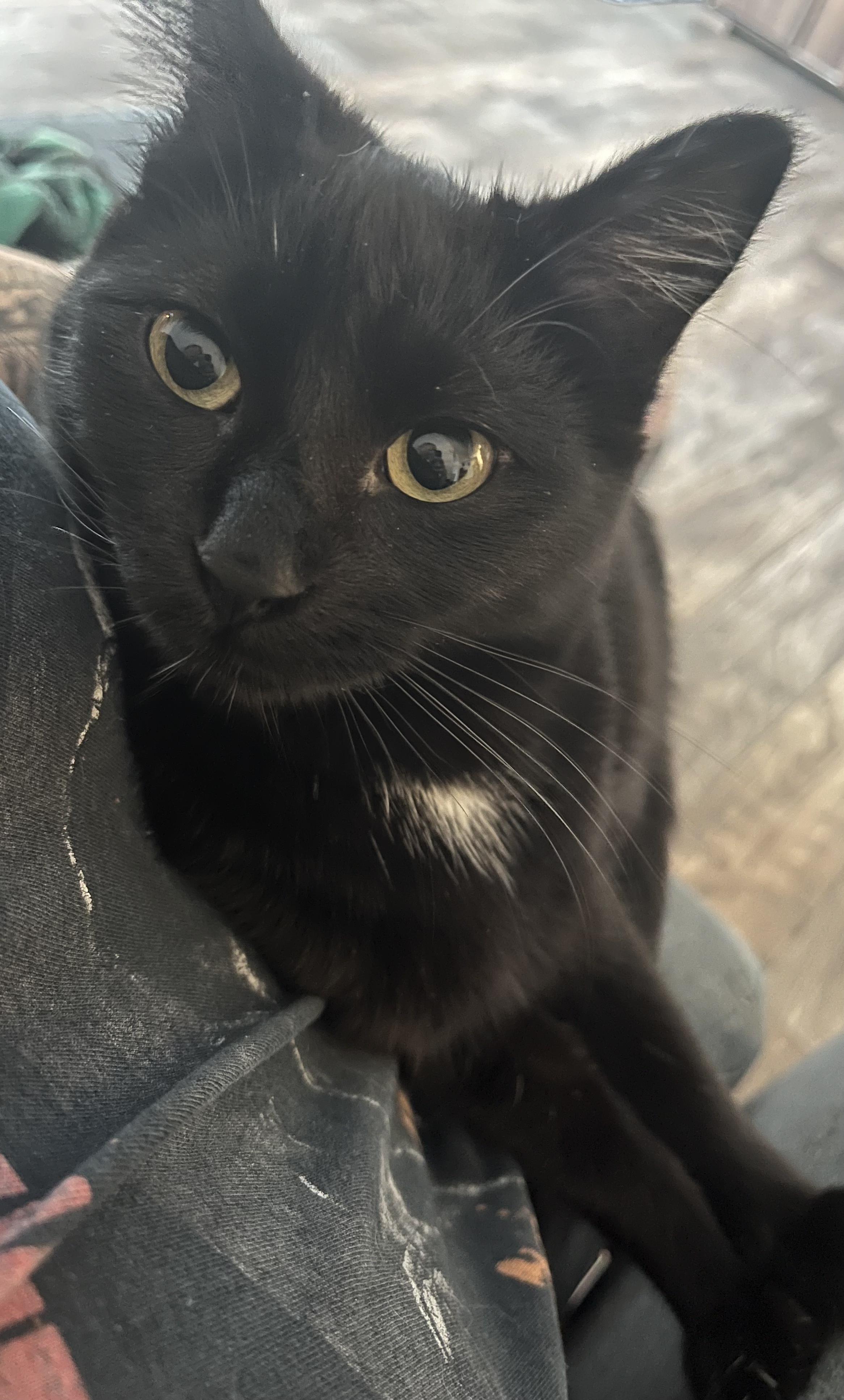 Benito
