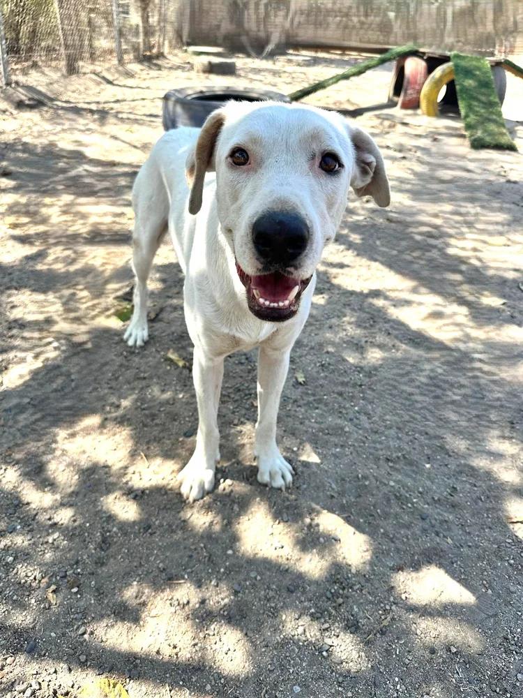 Fantasma — thumbnail 2