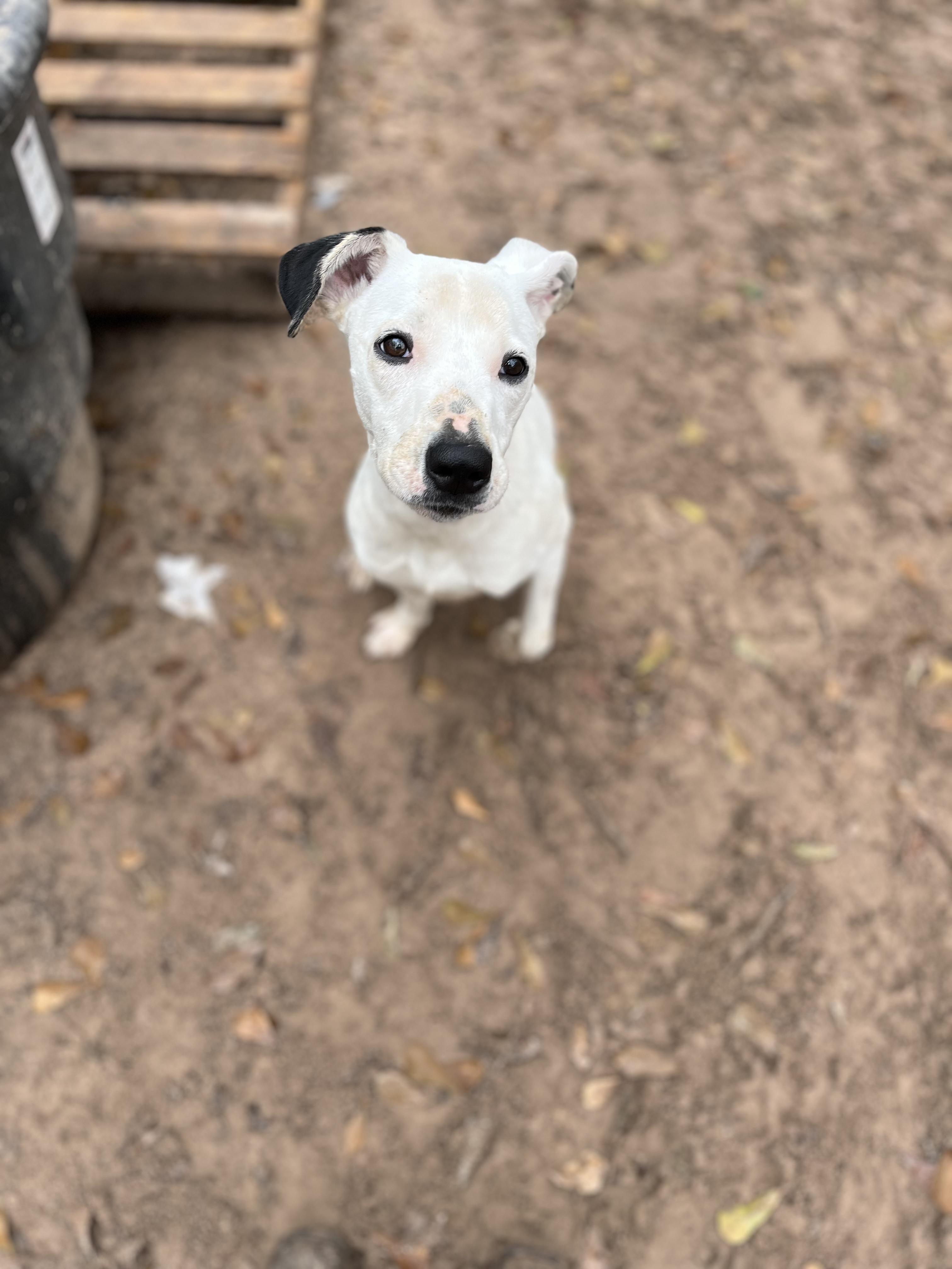 Charlie photo 3