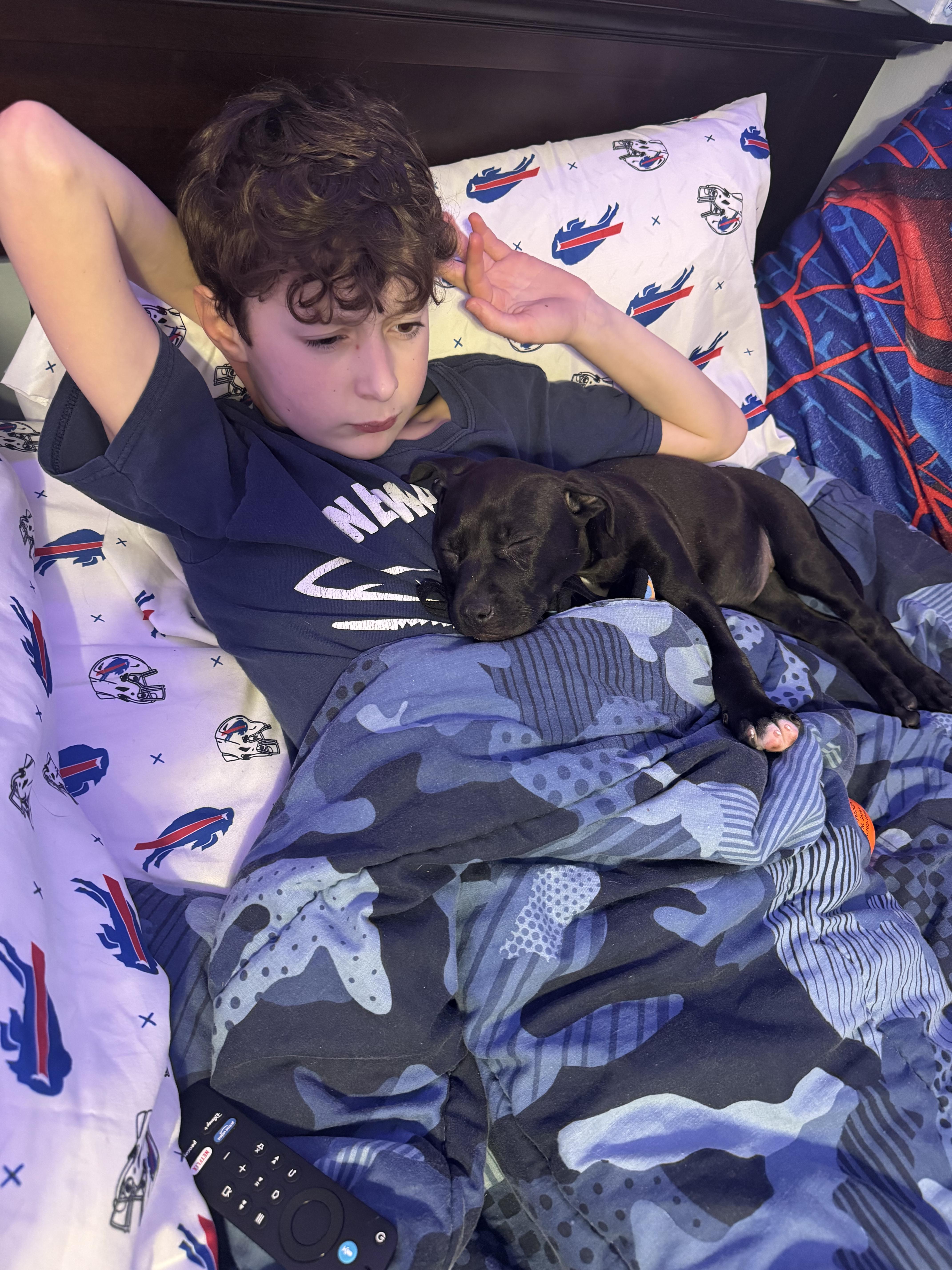 Enlarge Muffin, a Adoptable mixed breed in Newfoundland, NJ image 4/6