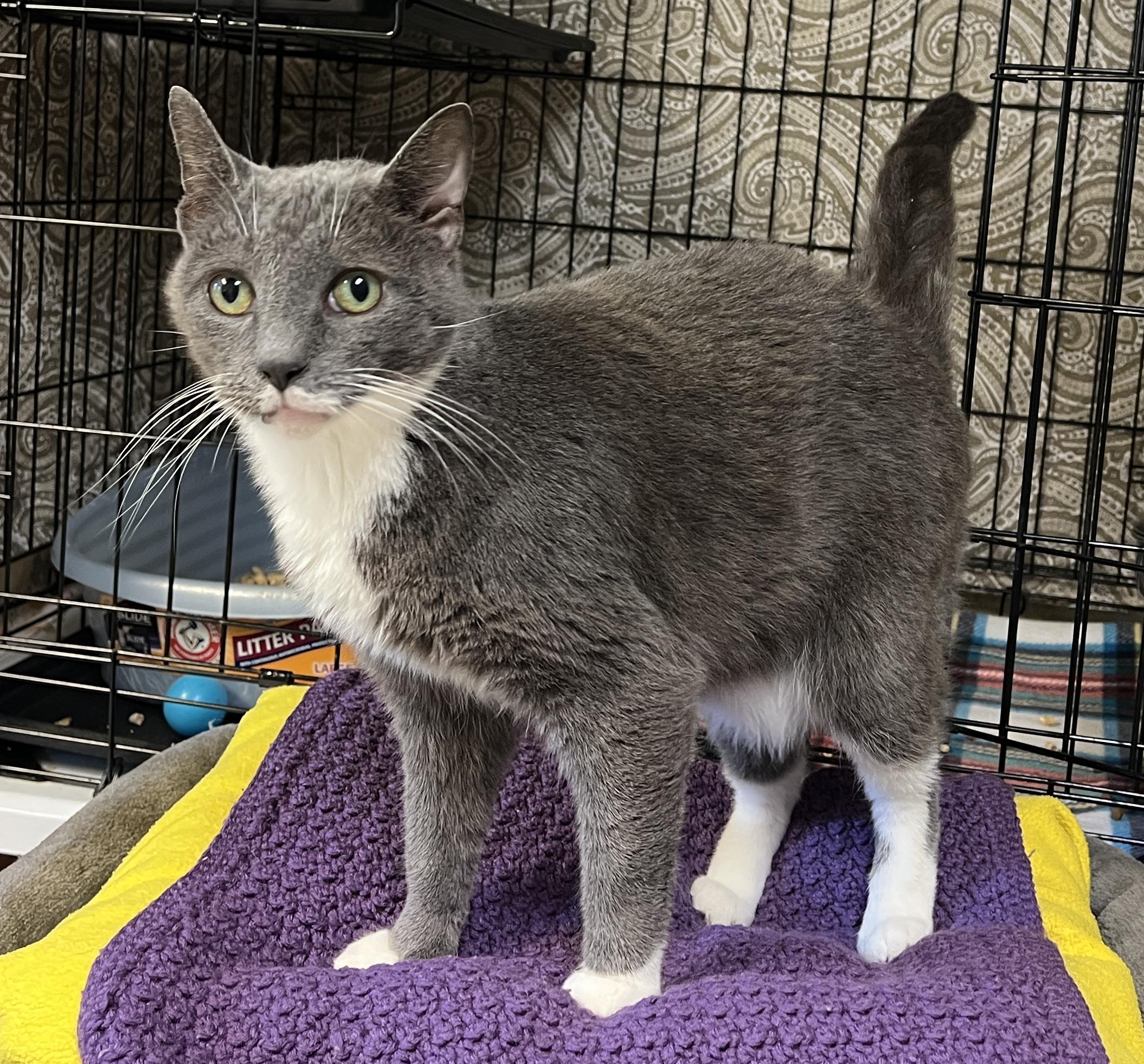 Mason — thumbnail 2