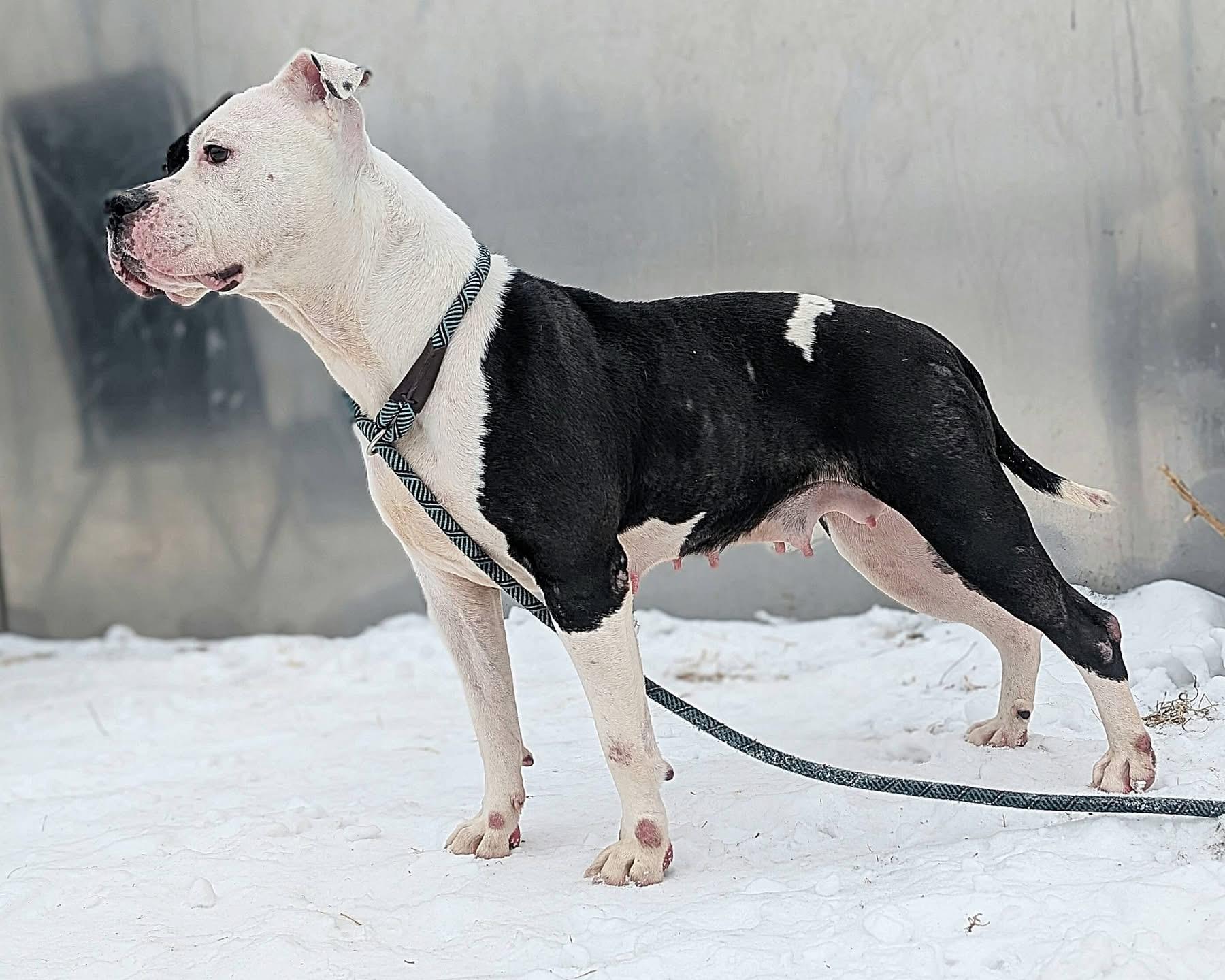 Samika — thumbnail 2