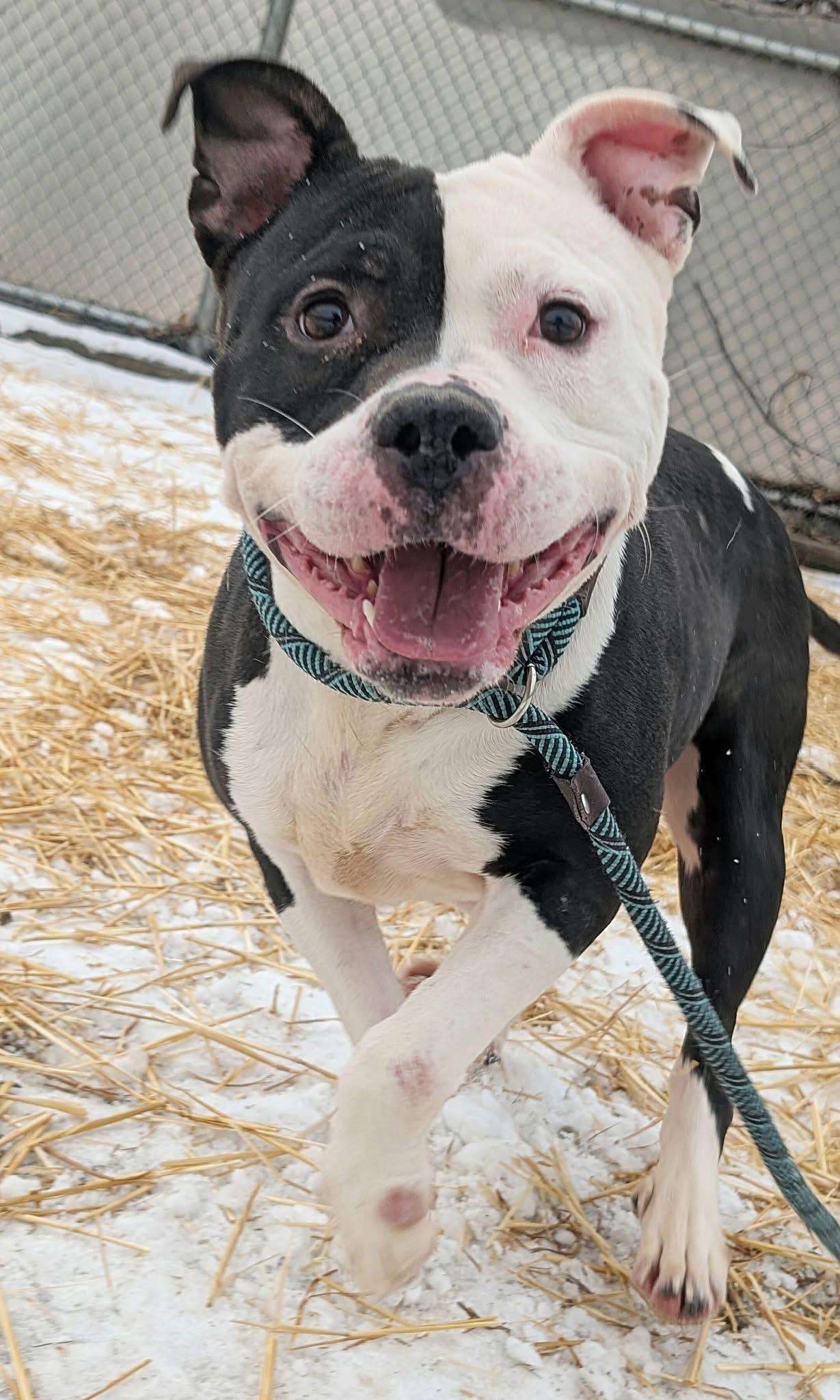 Samika — thumbnail 3