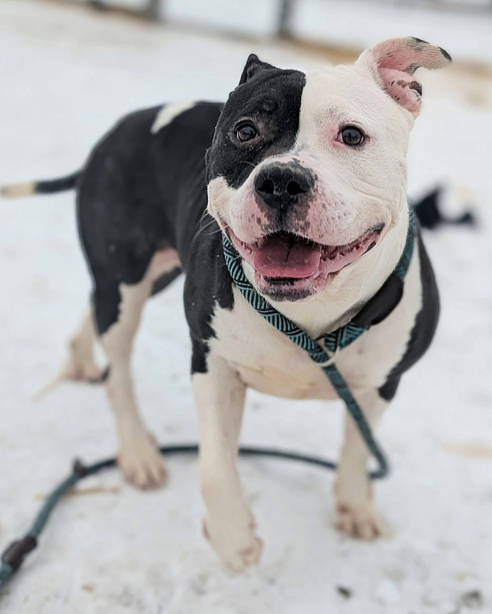 Samika — thumbnail 4