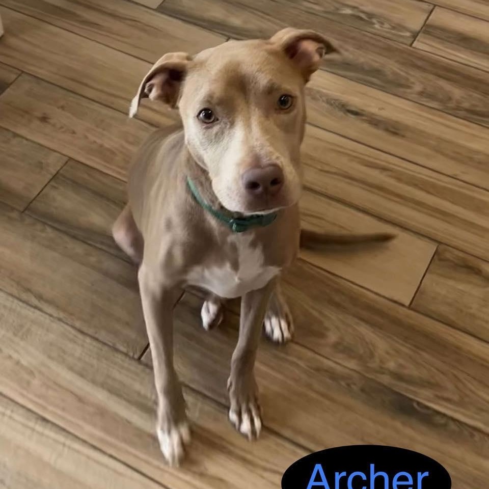 ARCHER