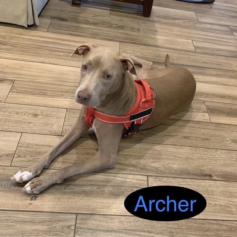 ARCHER