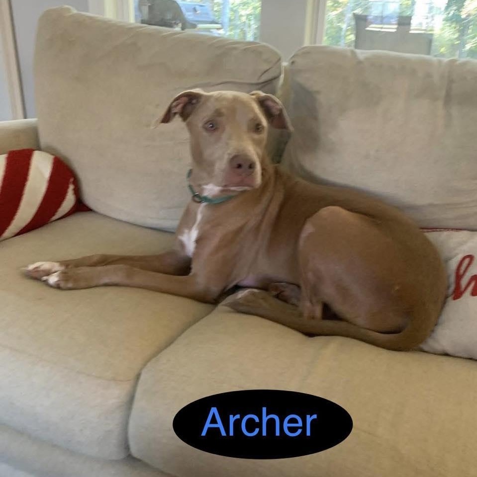 ARCHER