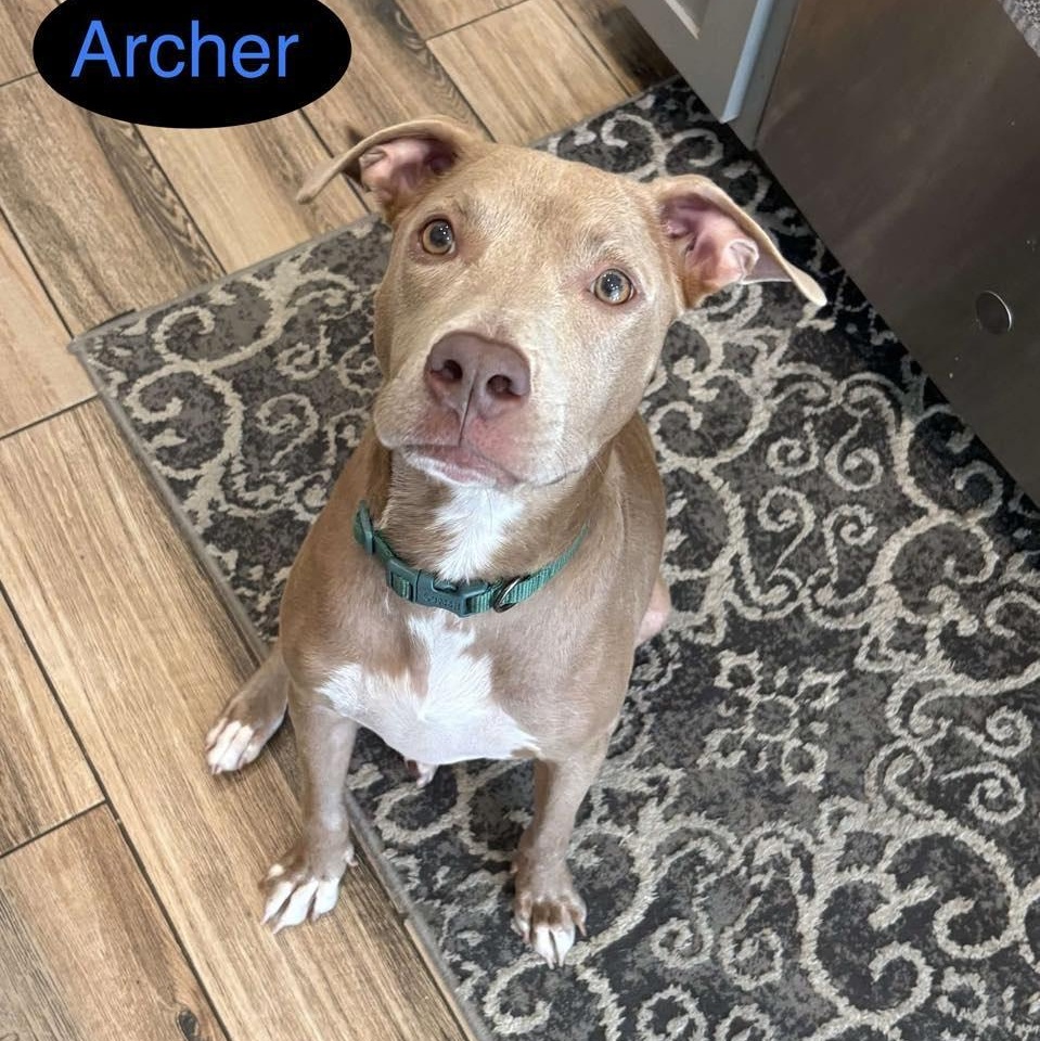 ARCHER