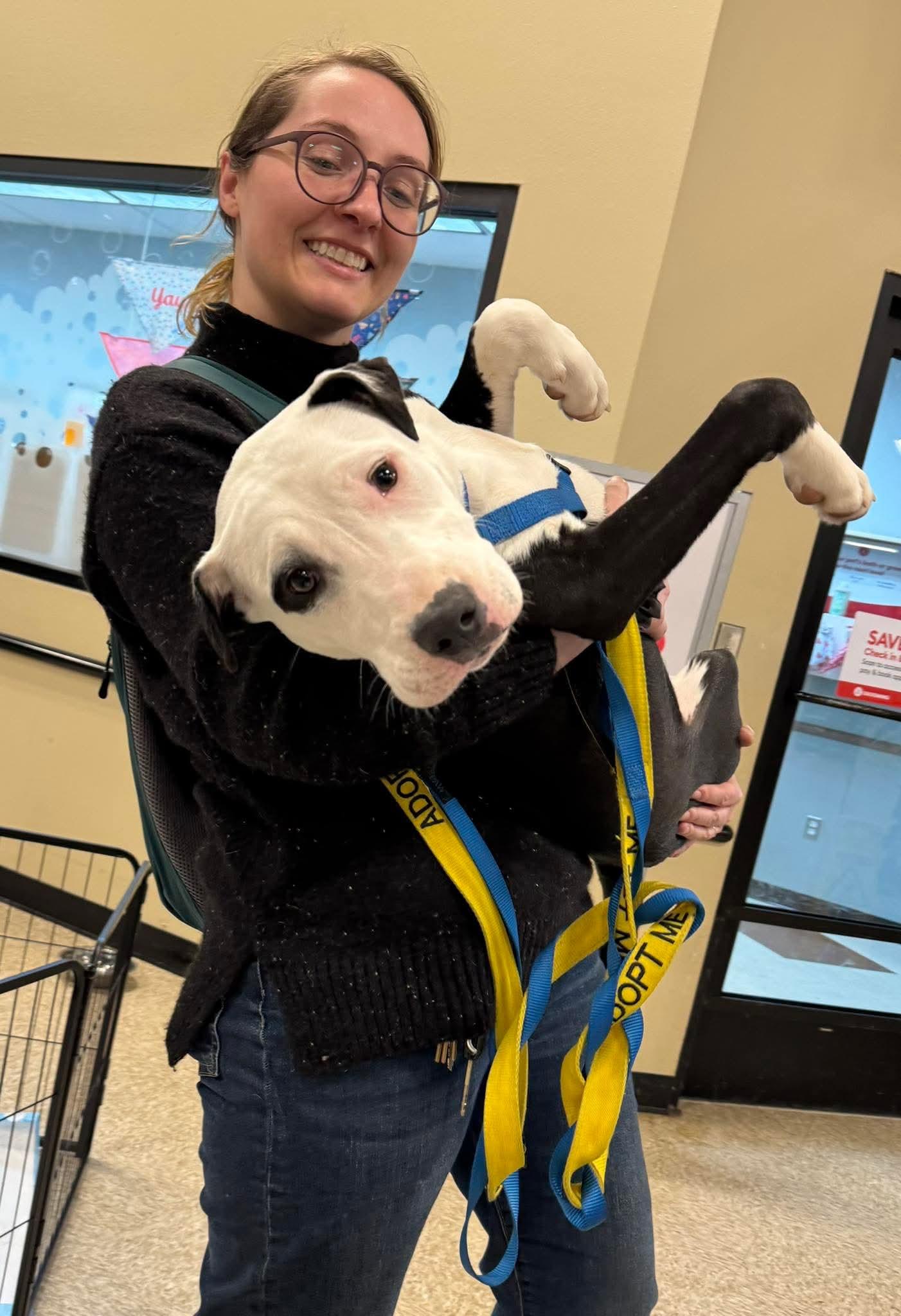 Aleppo Pine — thumbnail 2